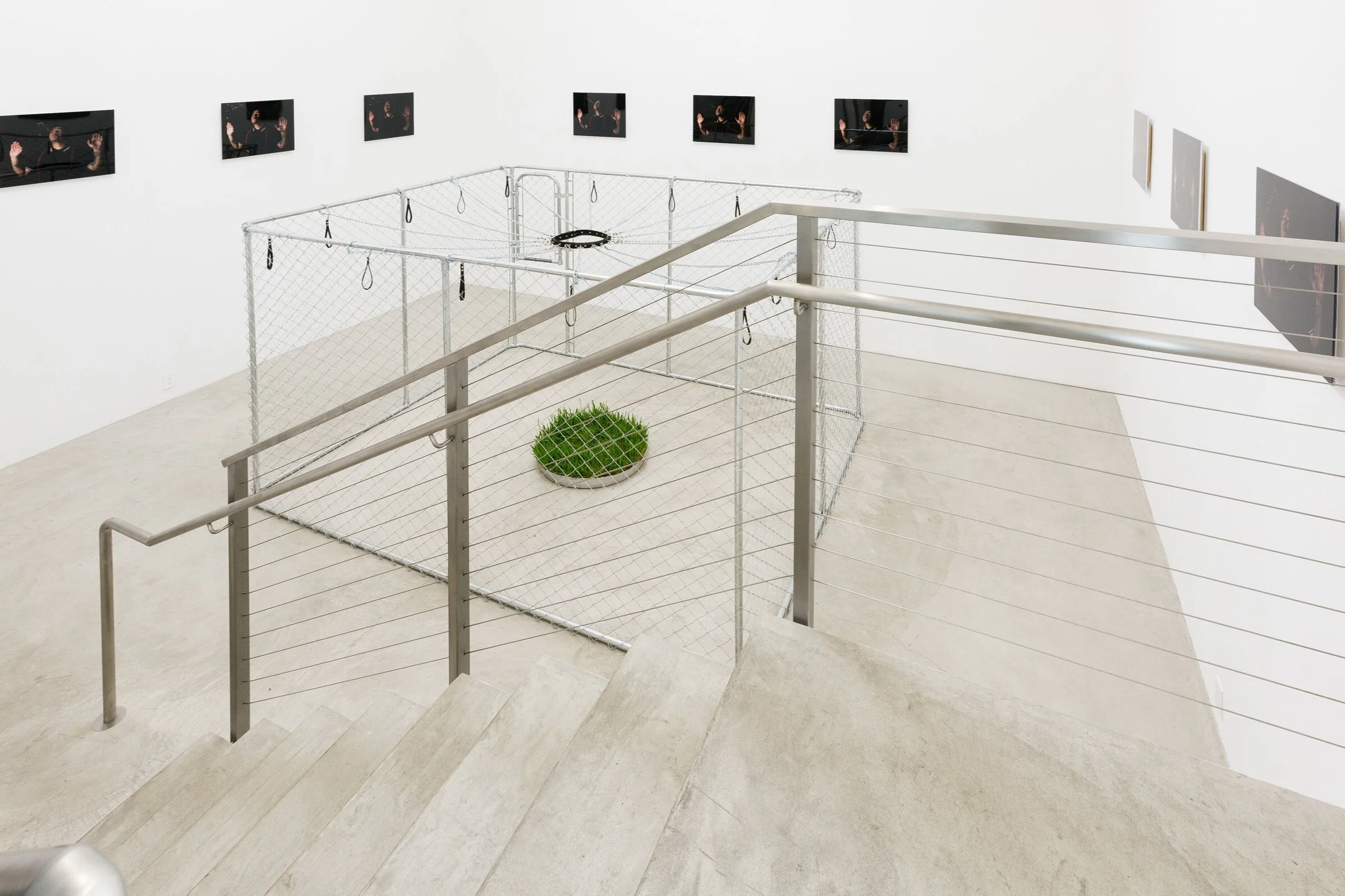 DOGS OF THE WORLD UNITE! (…THE ONLY PLACE TO SPIT) OR WHY MUST I FEEL LIKE THIS? | Juan Capistran | Sep 12 – Oct 17, 2015 | press release