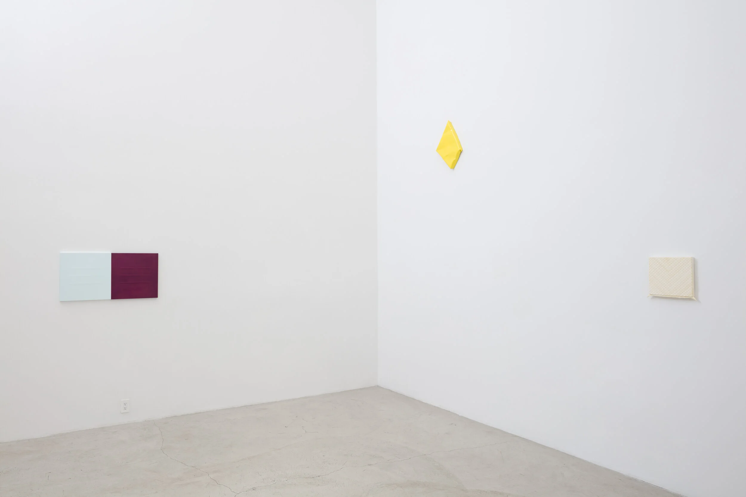 Installation of, ReVerb, Works by Tim Ebner, Lies Kraal, Linda Stark, Roy Thurston, Baik Art, 2019.jpg