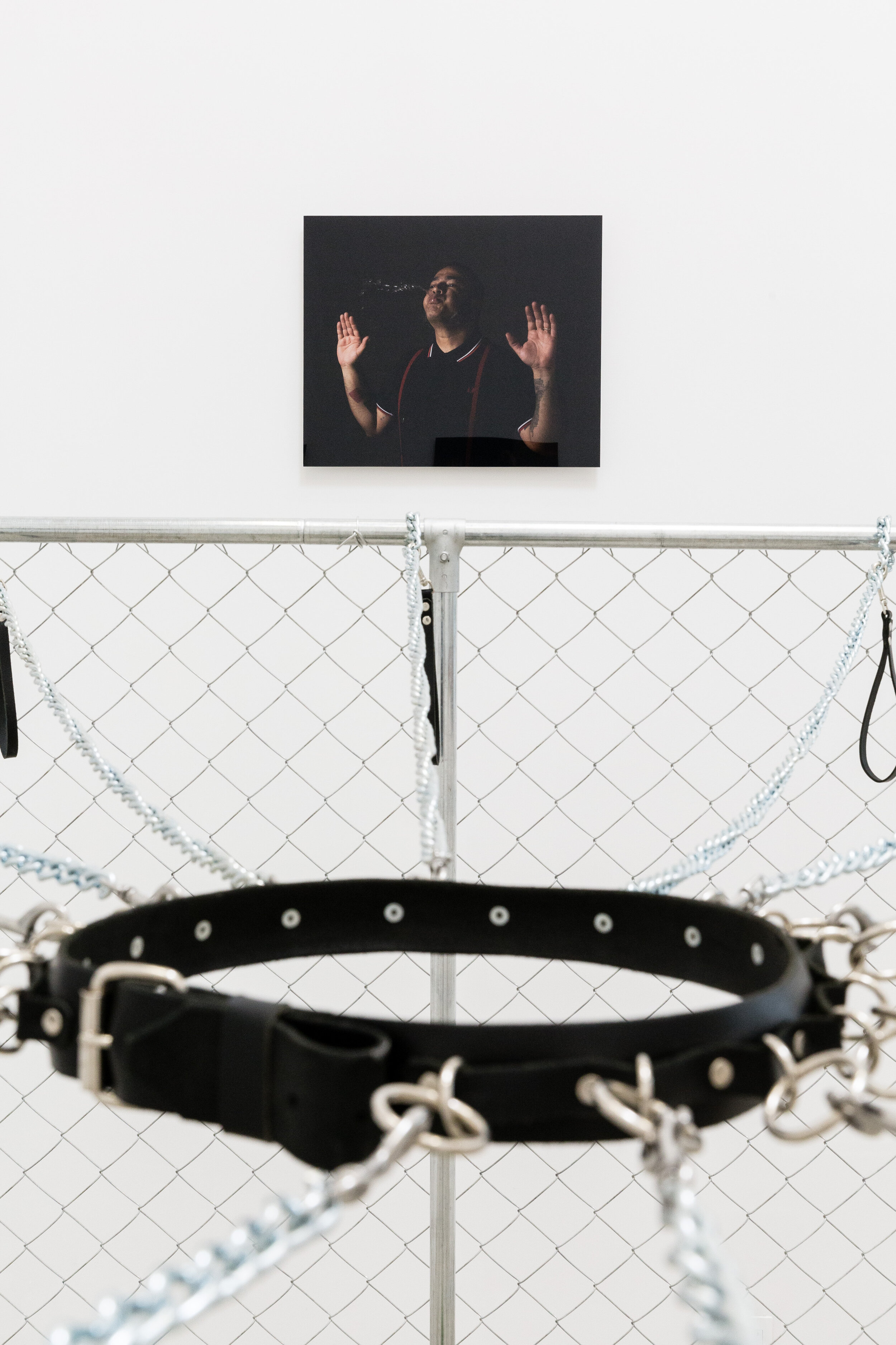 Installation of, Dogs of the World Unite, Works by Juan Capistran, Baik Art, 2015.jpg