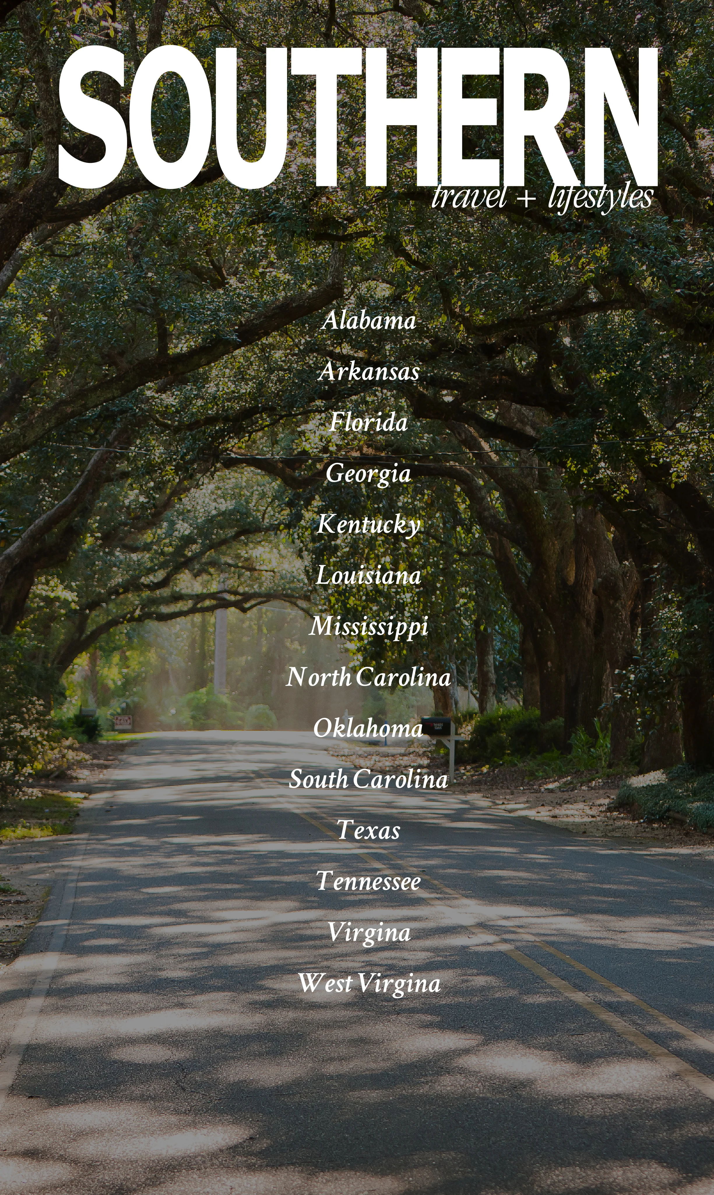 Southern Banner Ad.jpg