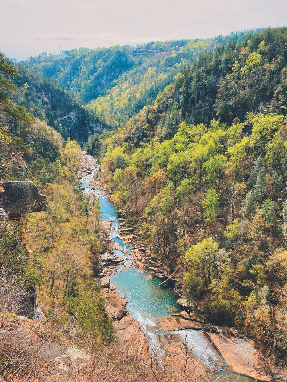 Gorgeous Georgia