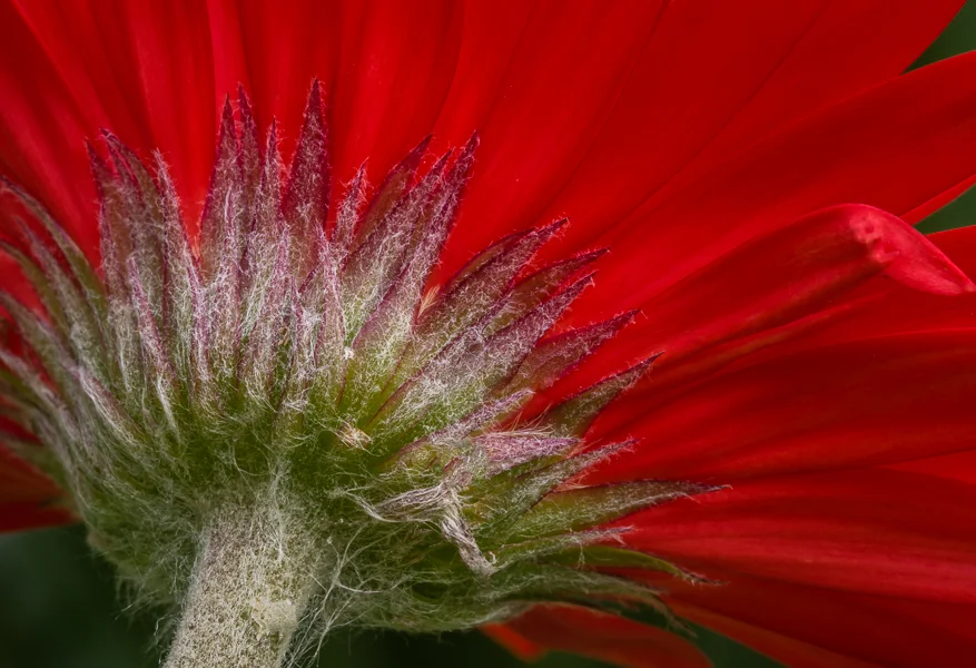 A View From the Back.jpg