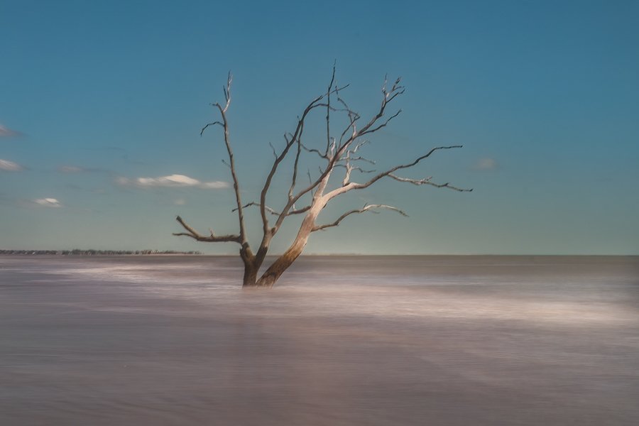 Botany Bay, Charleston, SC
