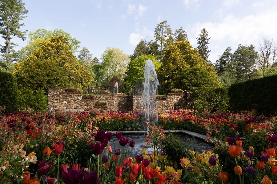 Square Fountain Garden