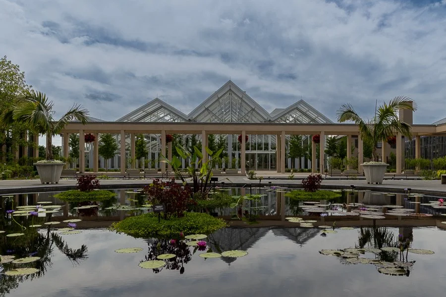 Waterlily Court