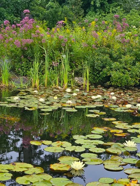 Coastal Main Botanical Gardens-20250825-0062.jpg