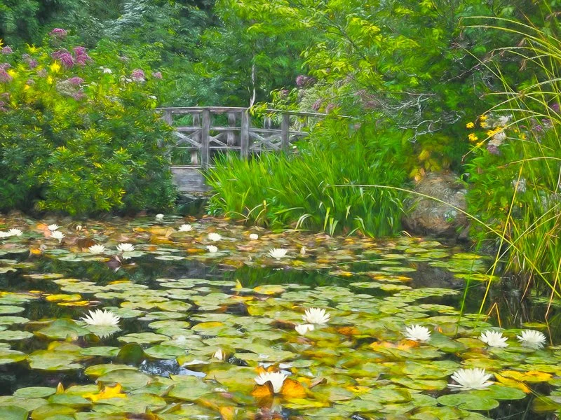 Coastal Main Botanical Gardens-20250825-0059-Edit.jpg