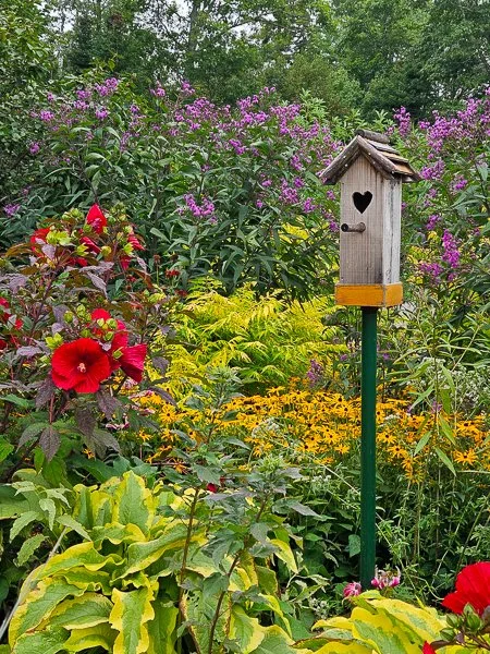 Coastal Main Botanical Gardens-20250825-0145.jpg