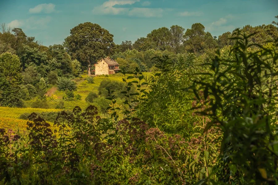 Webb Farmhouse in Autumn