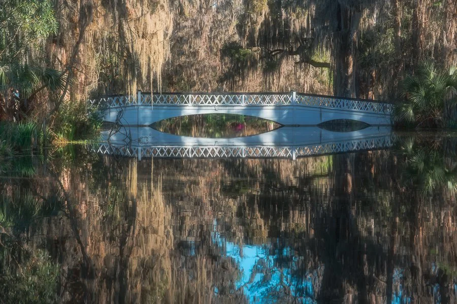 Magnolia Gardens-20250319-0003-Enhanced-NR-Edit.jpg