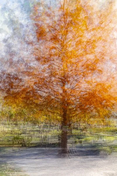 Navy Yard-20251108-0719.jpg