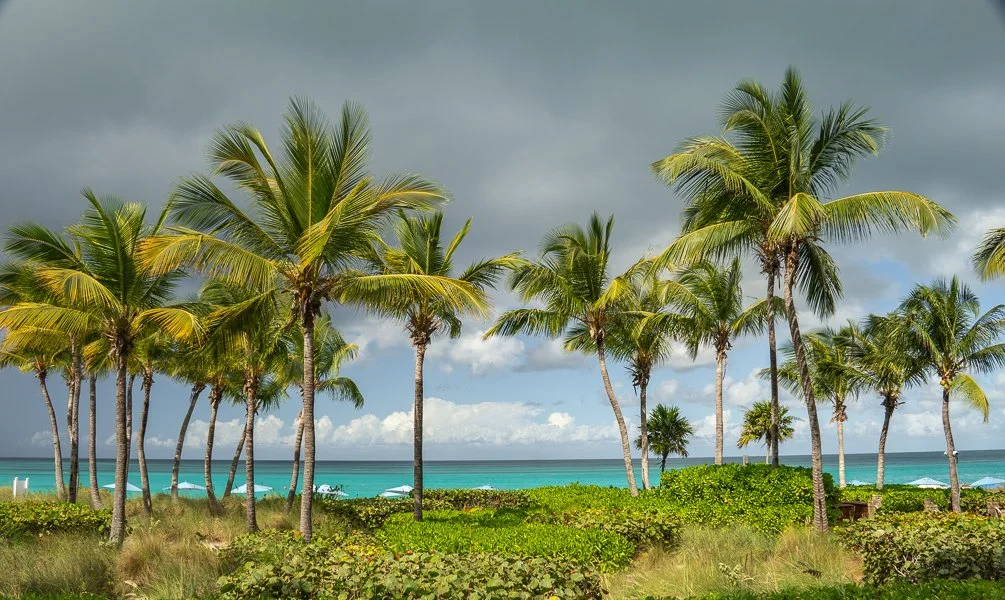 Ocean View