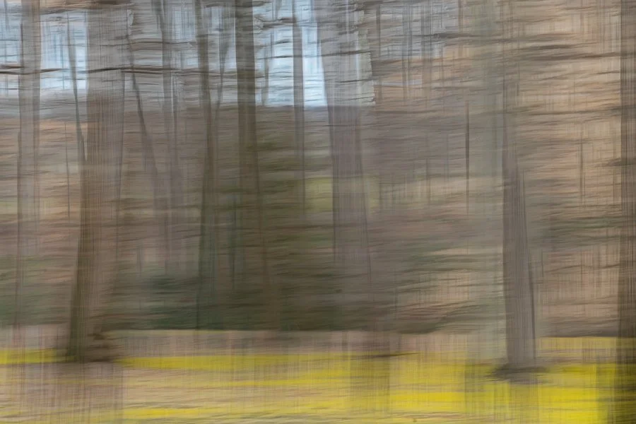 Impressions of Spring