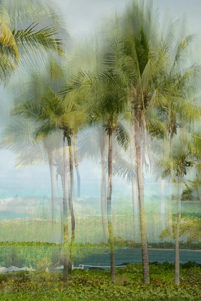 Swaying Palms
