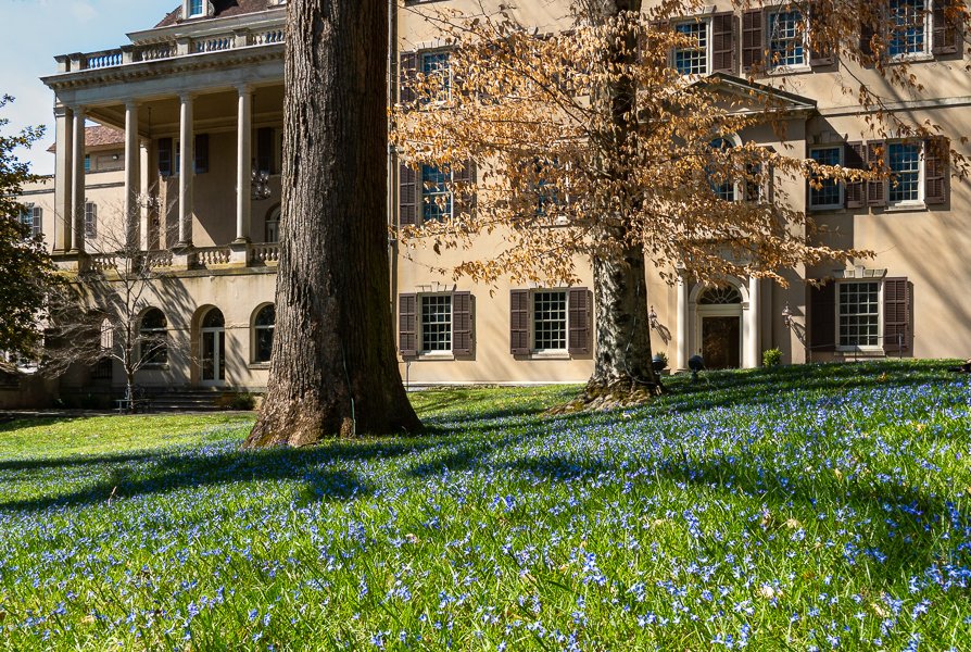 East Lawn in Blue