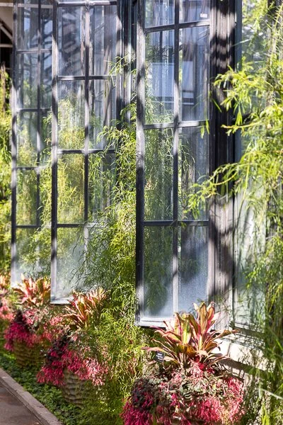 Reflections in the Acacia Passage