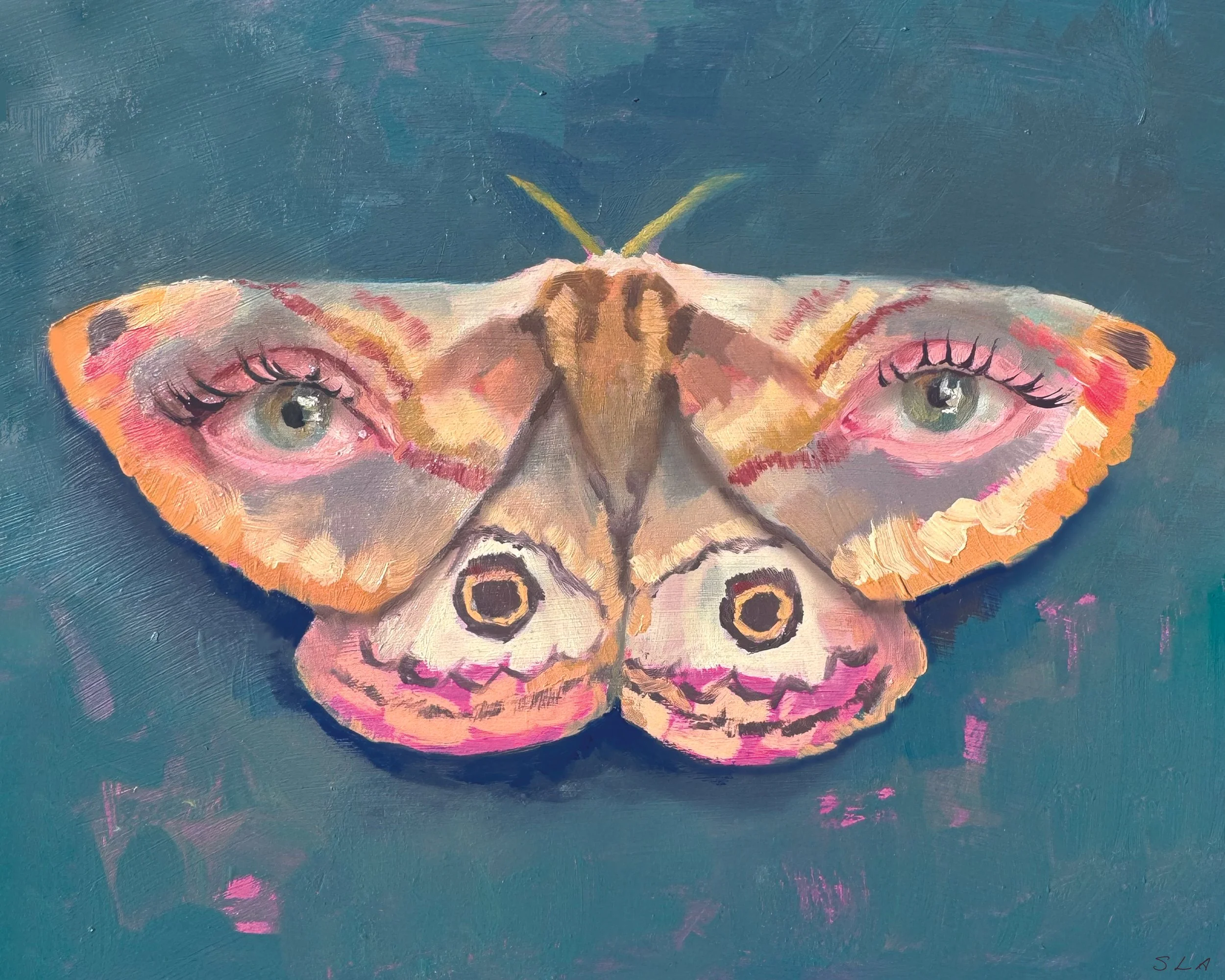 Moth_One_SLA.jpg