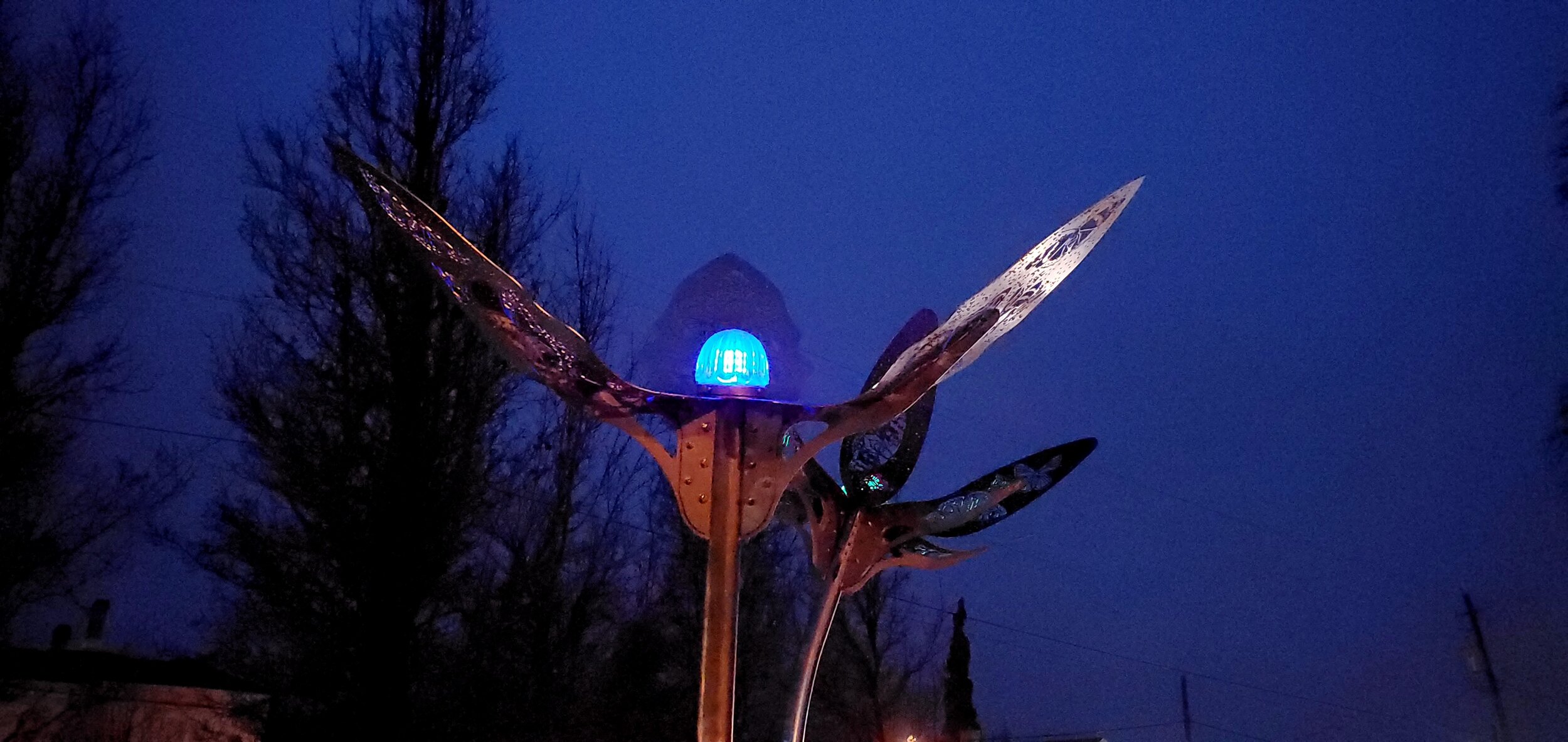 2021-01-03 17.15.43.jpg