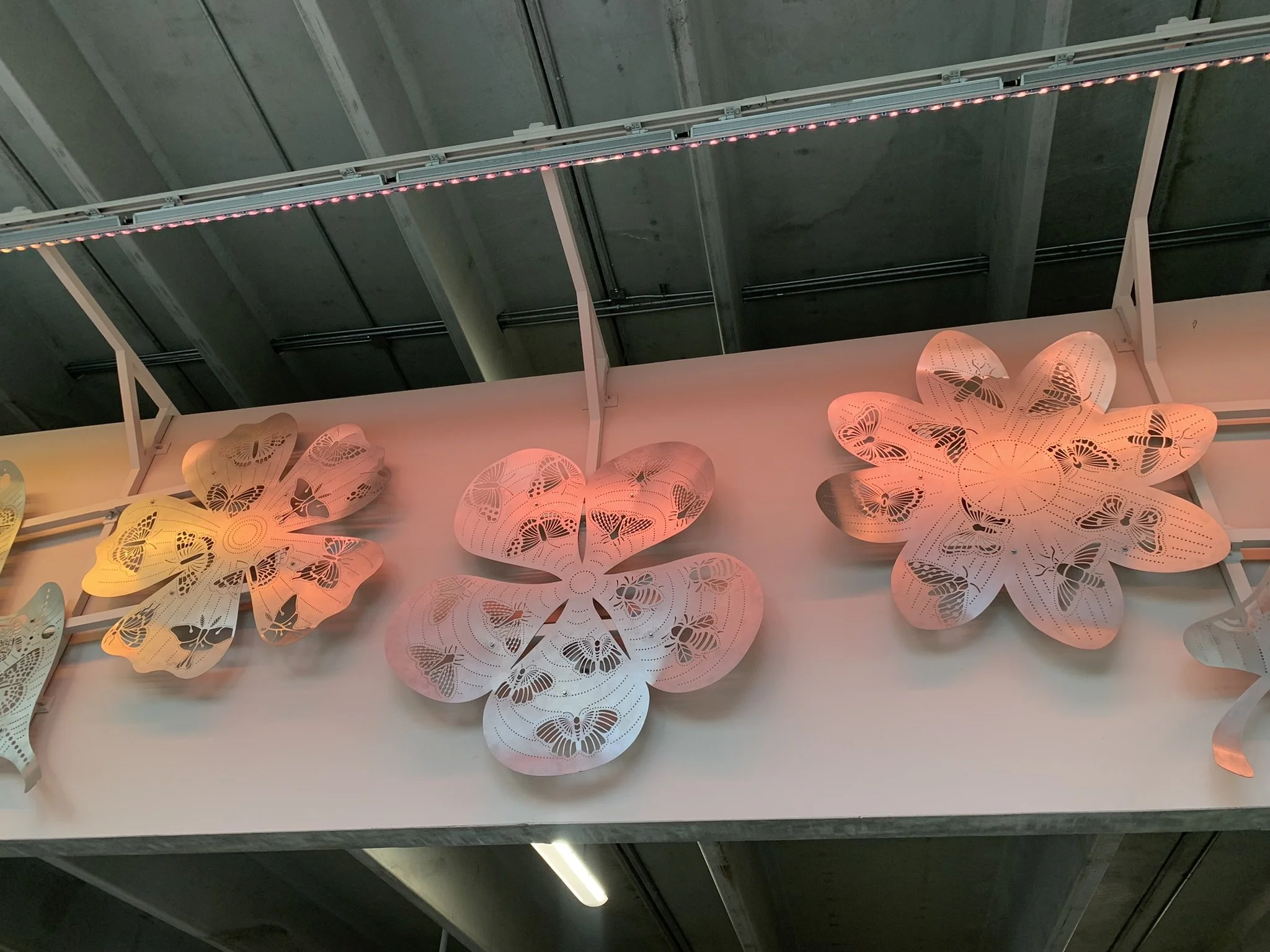 The great migration_8.JPEG