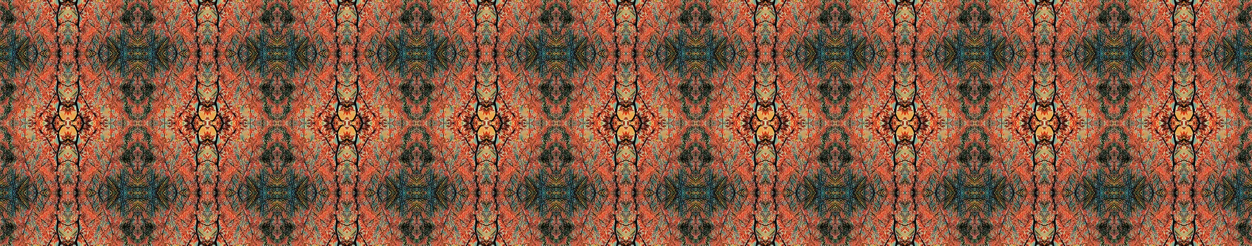 farmilant_orangetree.jpg