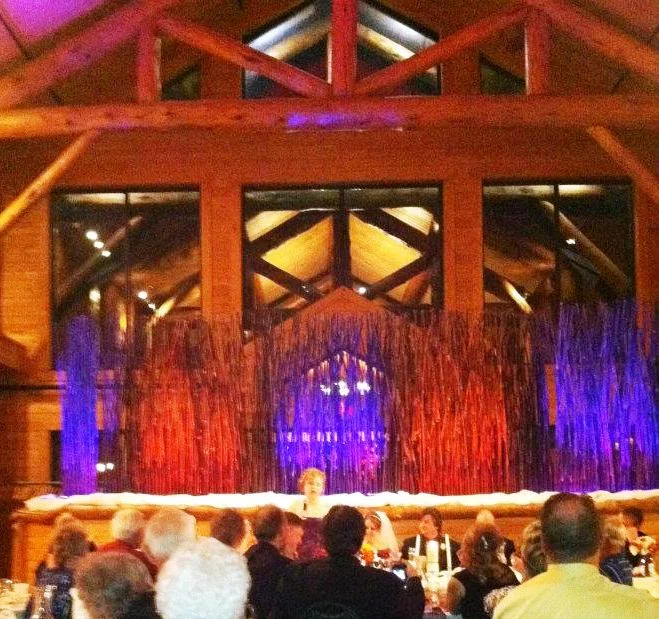 multi colored uplighting for visual affect at wedding reception