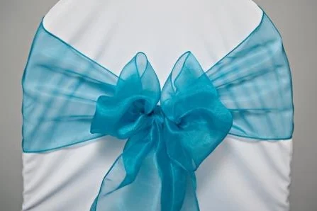 Teal organza sash tied in a bow
