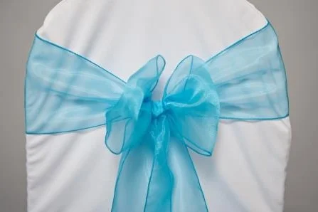 Turquoise organza sash tied in a bow