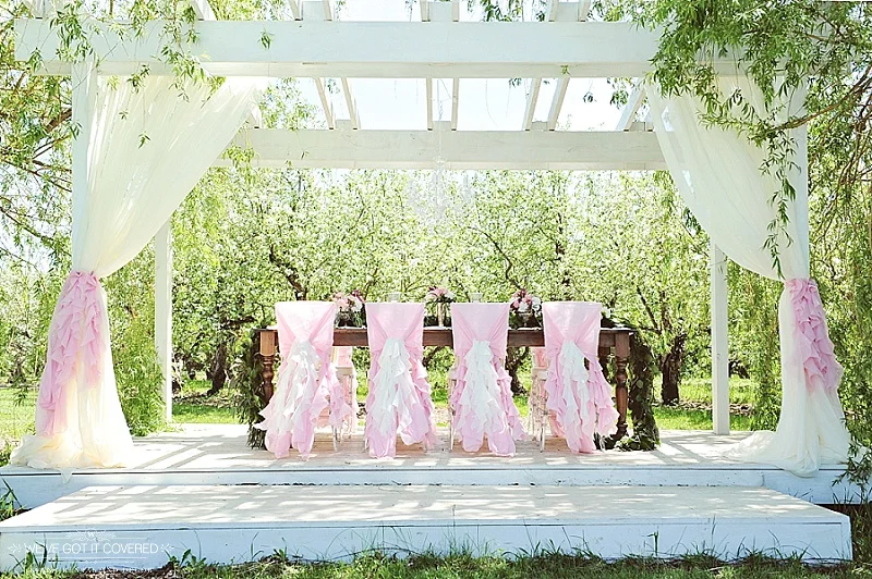 Outdoor arbor with draping and pink ruffle chair backs