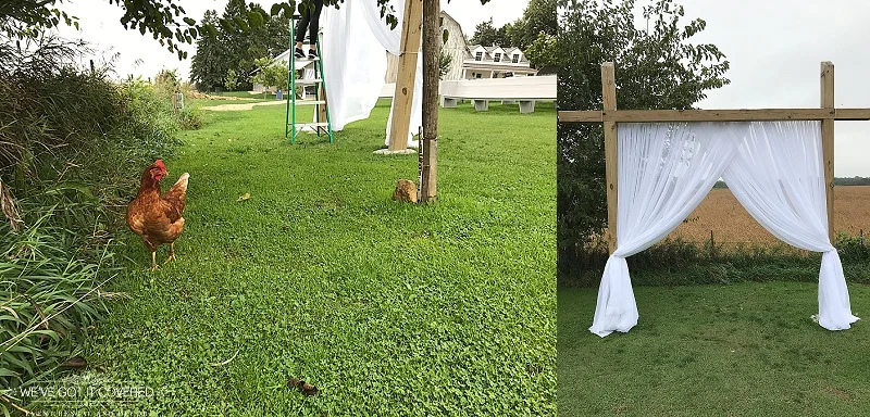 wedding on the farm with ceremony draping on the arch and help from animals