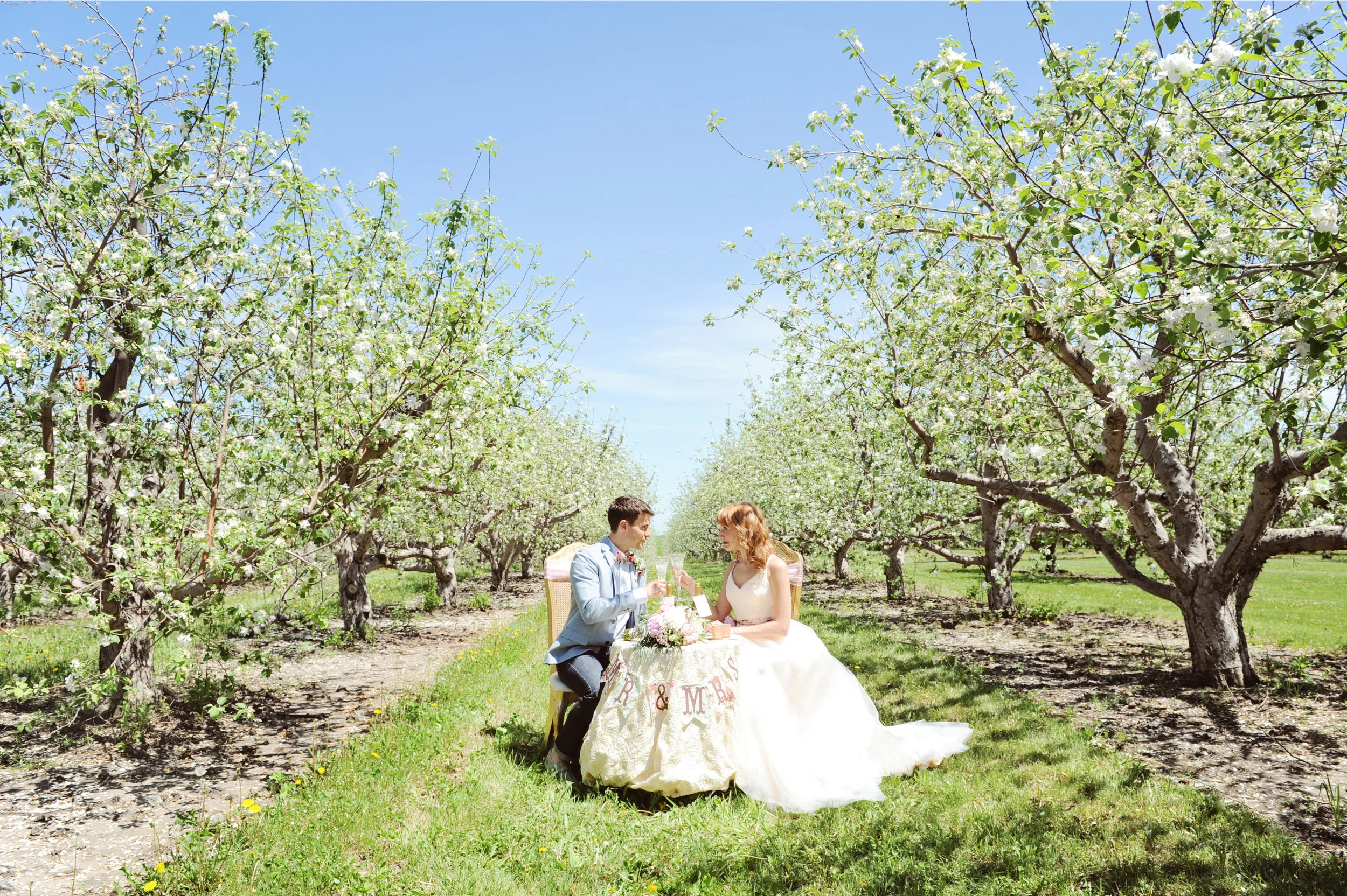 Husband and wife sharing meal at a sweetheart table in the middle of an apple orchard