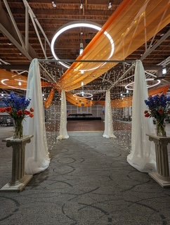 PXL_20240511_145602593.jpg