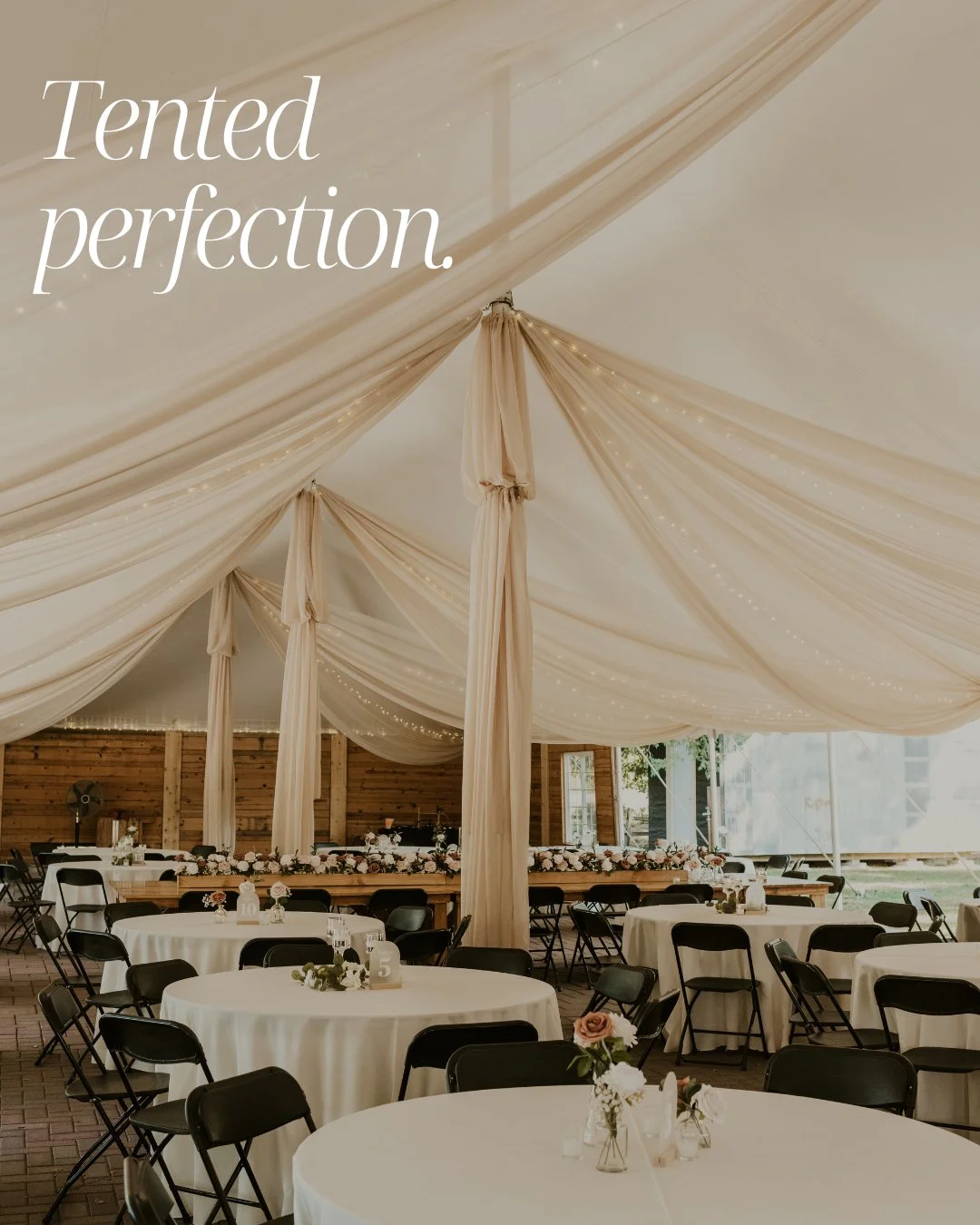 Tent goals: Unlocked.

We specialize in wedding tent drapery and lighting. 

Contact us for design help with your Minnesota tent event. 

#mnbride #mnweddingvenue