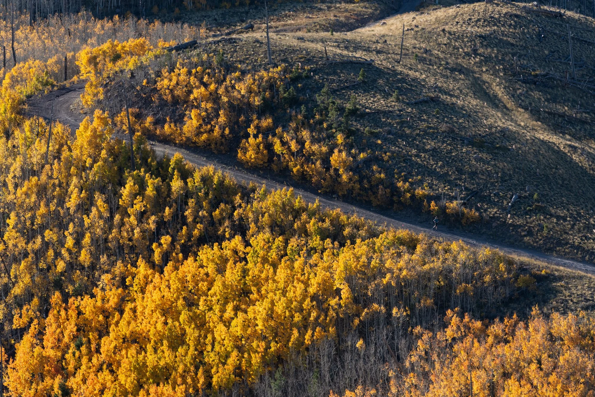 Elden Ridge Run Runners-13.jpg