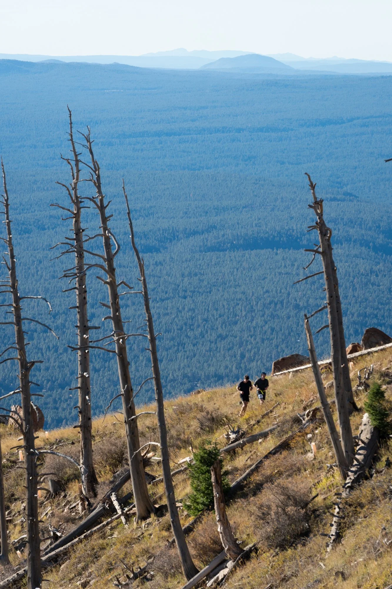 Elden Ridge Run Runners-34.jpg