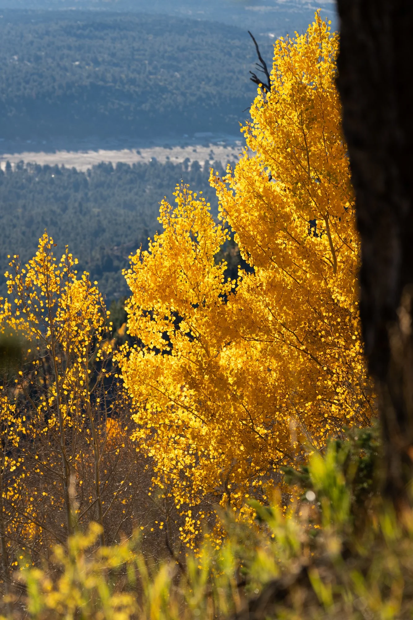 Elden Ridge Run Landscapes-2.jpg