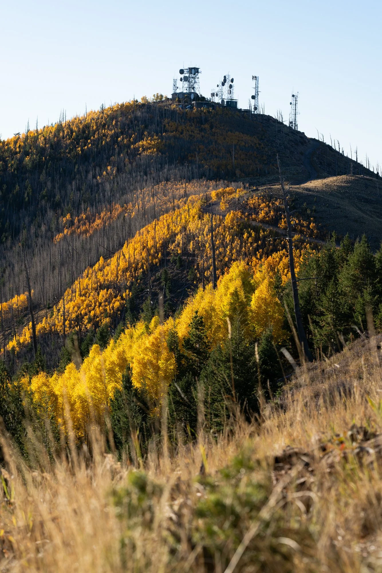 Elden Ridge Run Landscapes-3.jpg