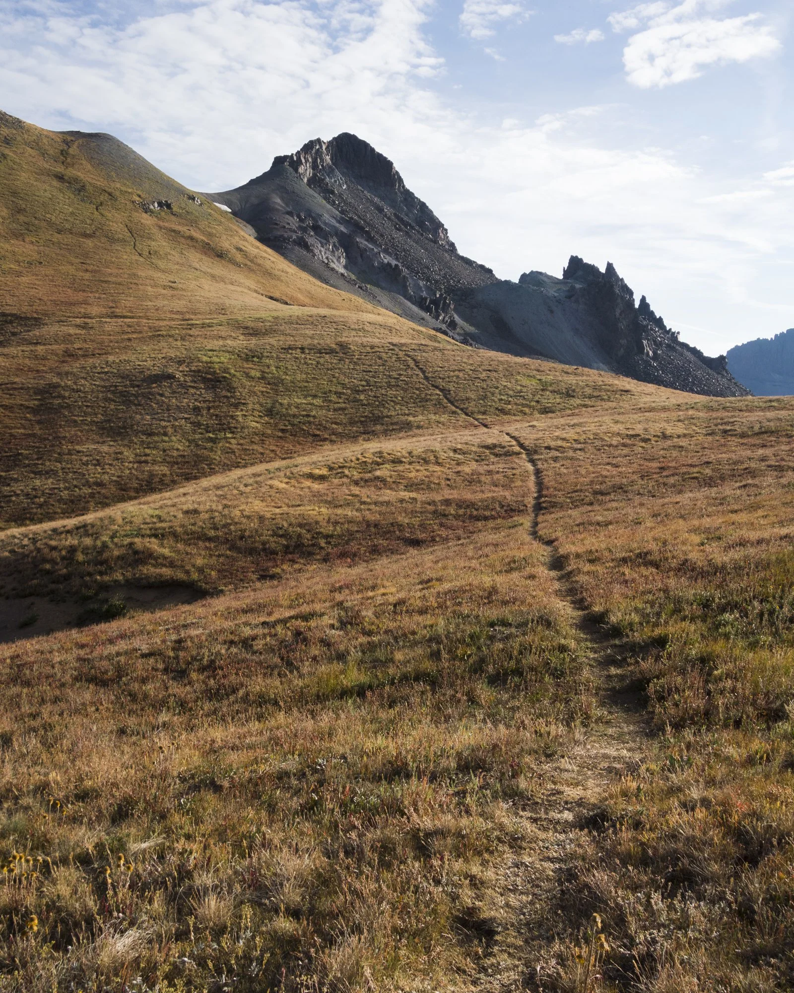 Silverton Long Run-2.jpg