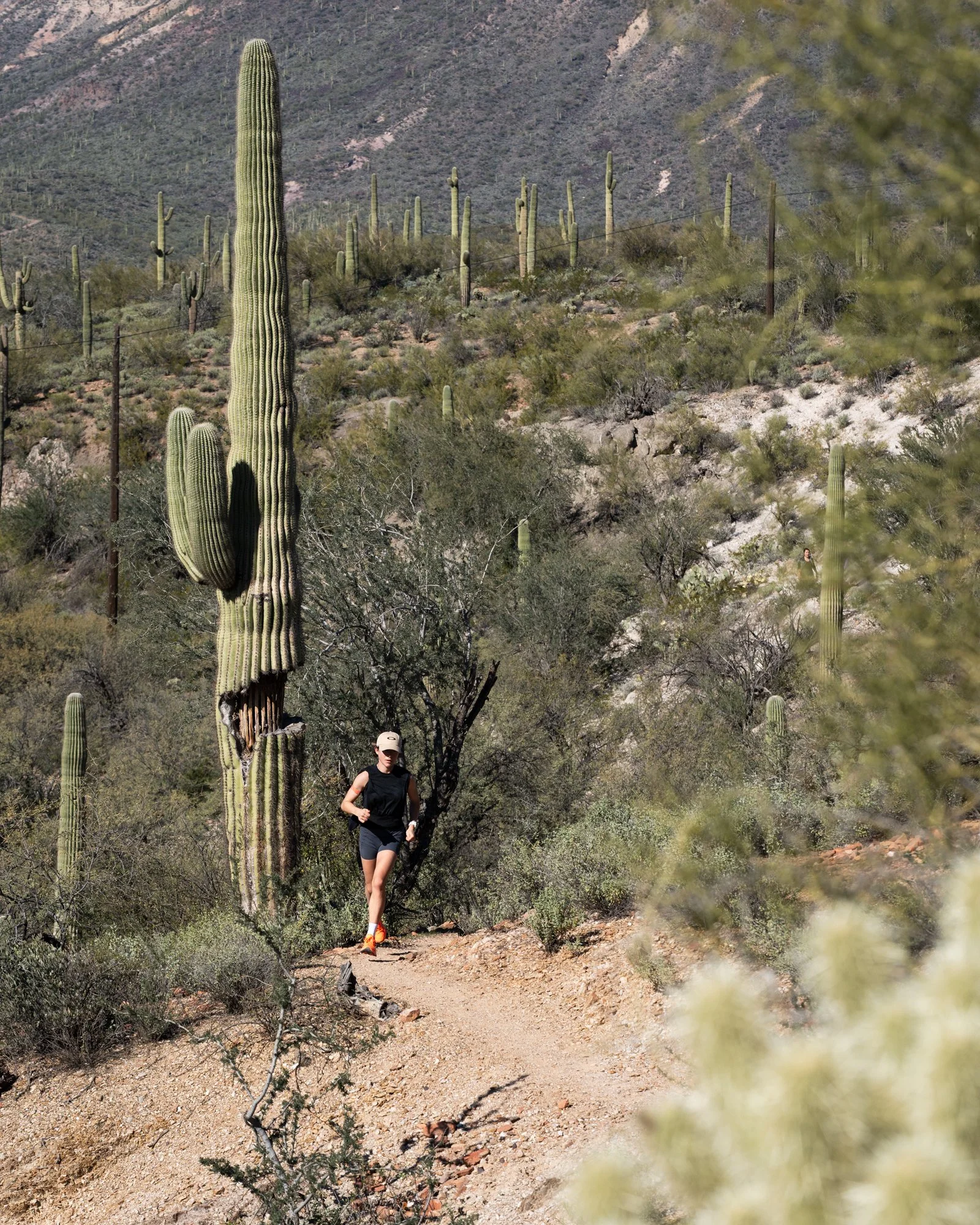 Molly Seidel - Black Canyon Trail