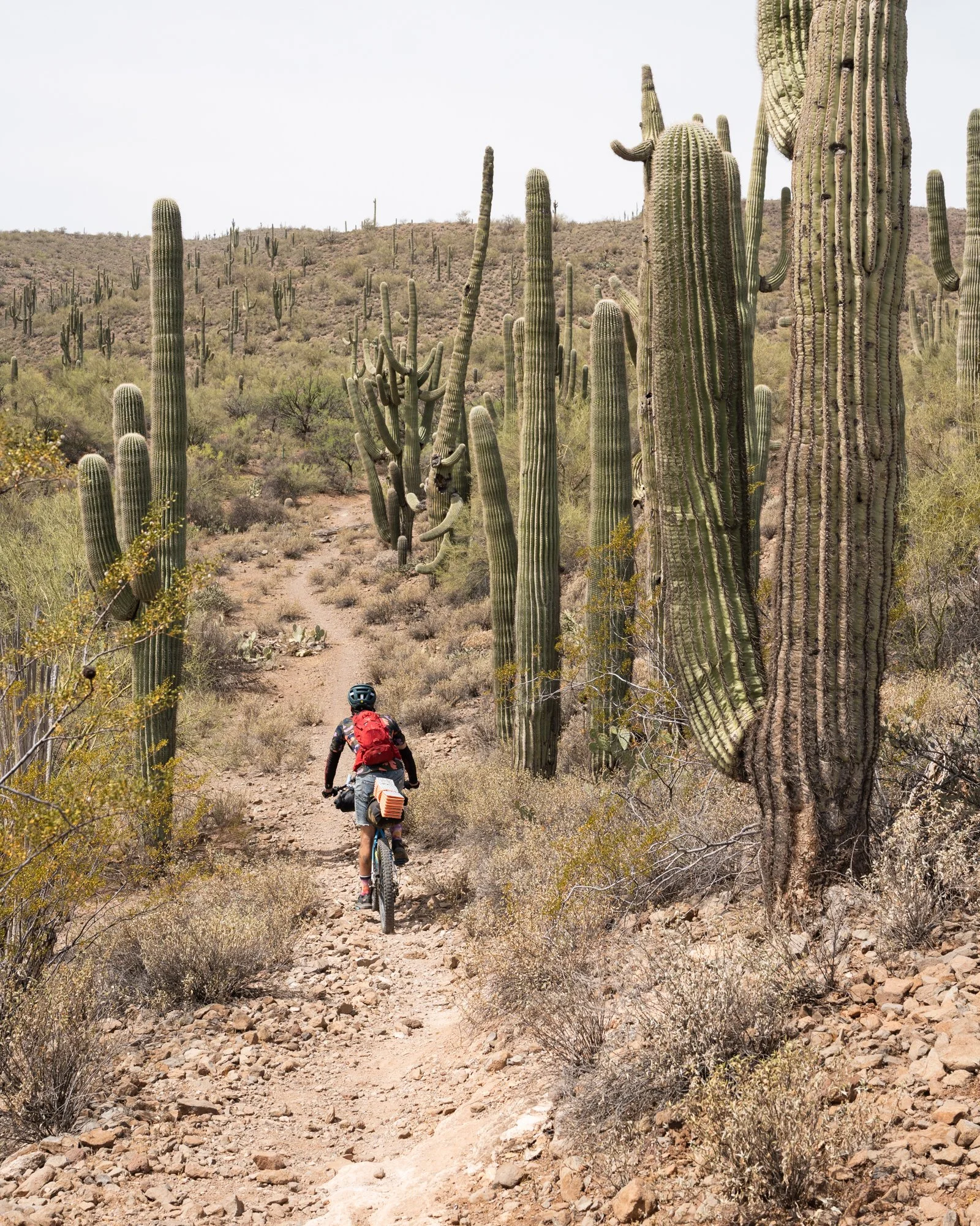 Black Canyon Bikepack-24.jpg
