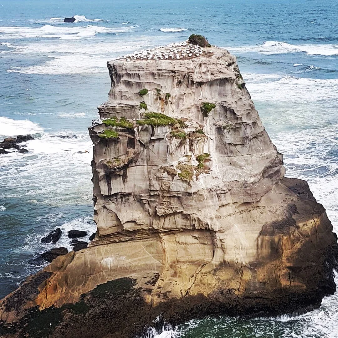 Stuck for something to do with the kids these school holidays?