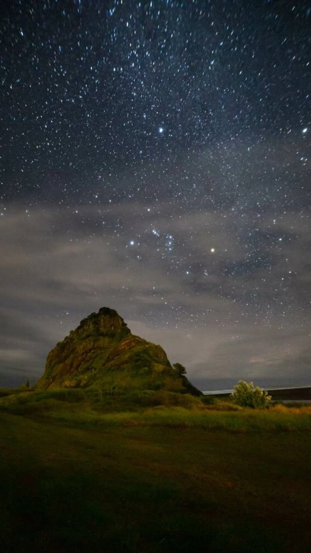 Beaches, Walks and Waterfalls - Have you really explored Piha?