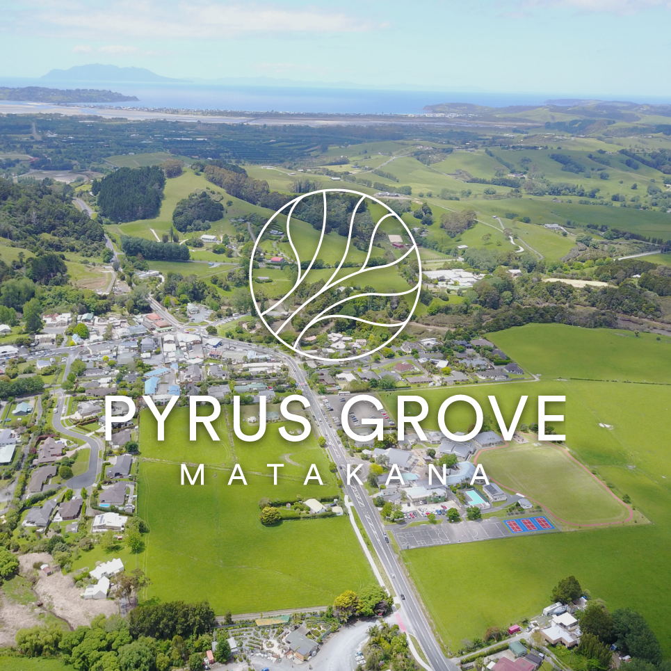 Pyrus Grove