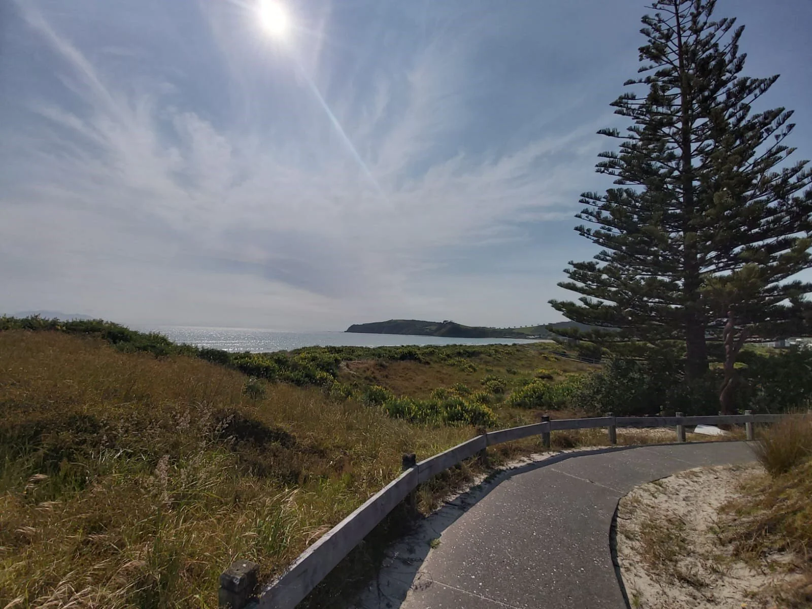 Explore the beaches around Matakana - something for everybody!