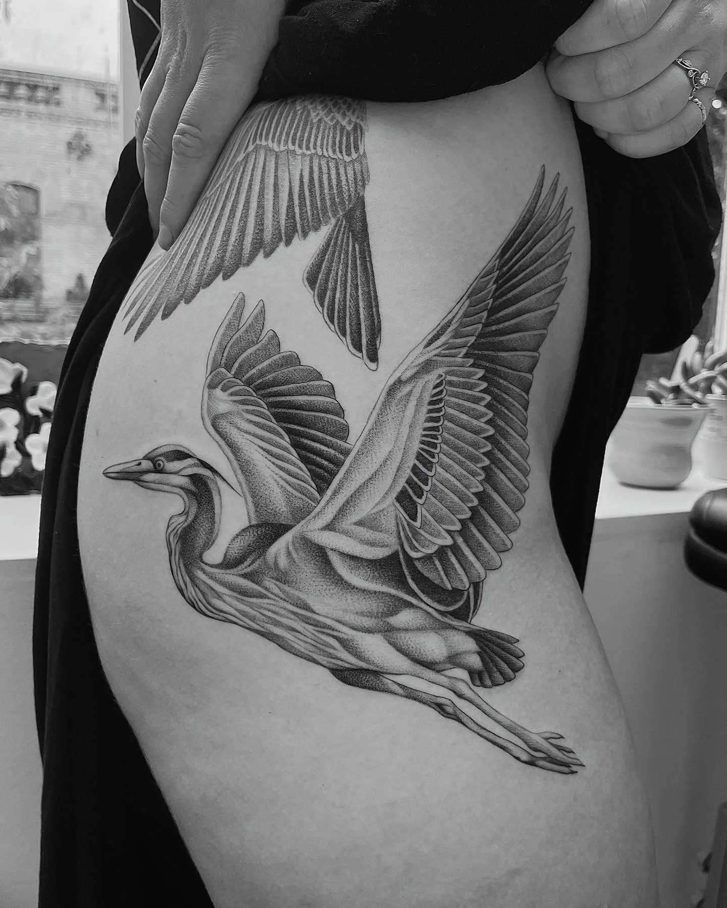 2 more birds to go for Bri, stoked on this project so far