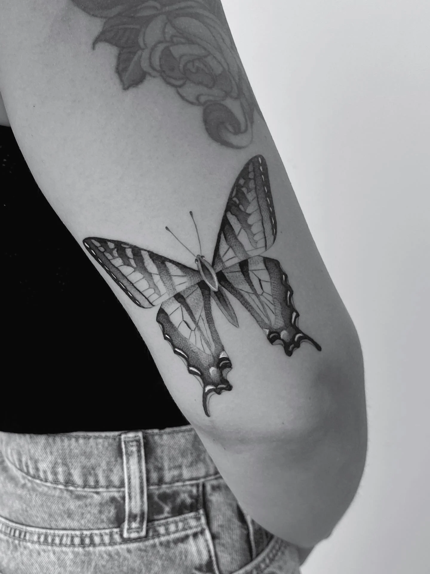 A swallowtail for Julia π¦