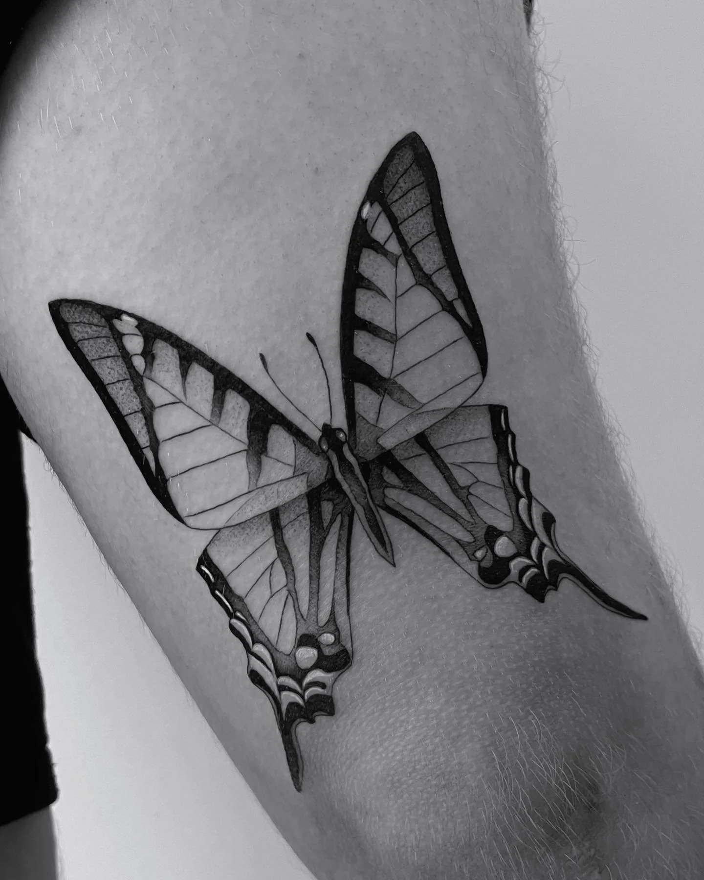 Large swallowtail thigh piece π¦