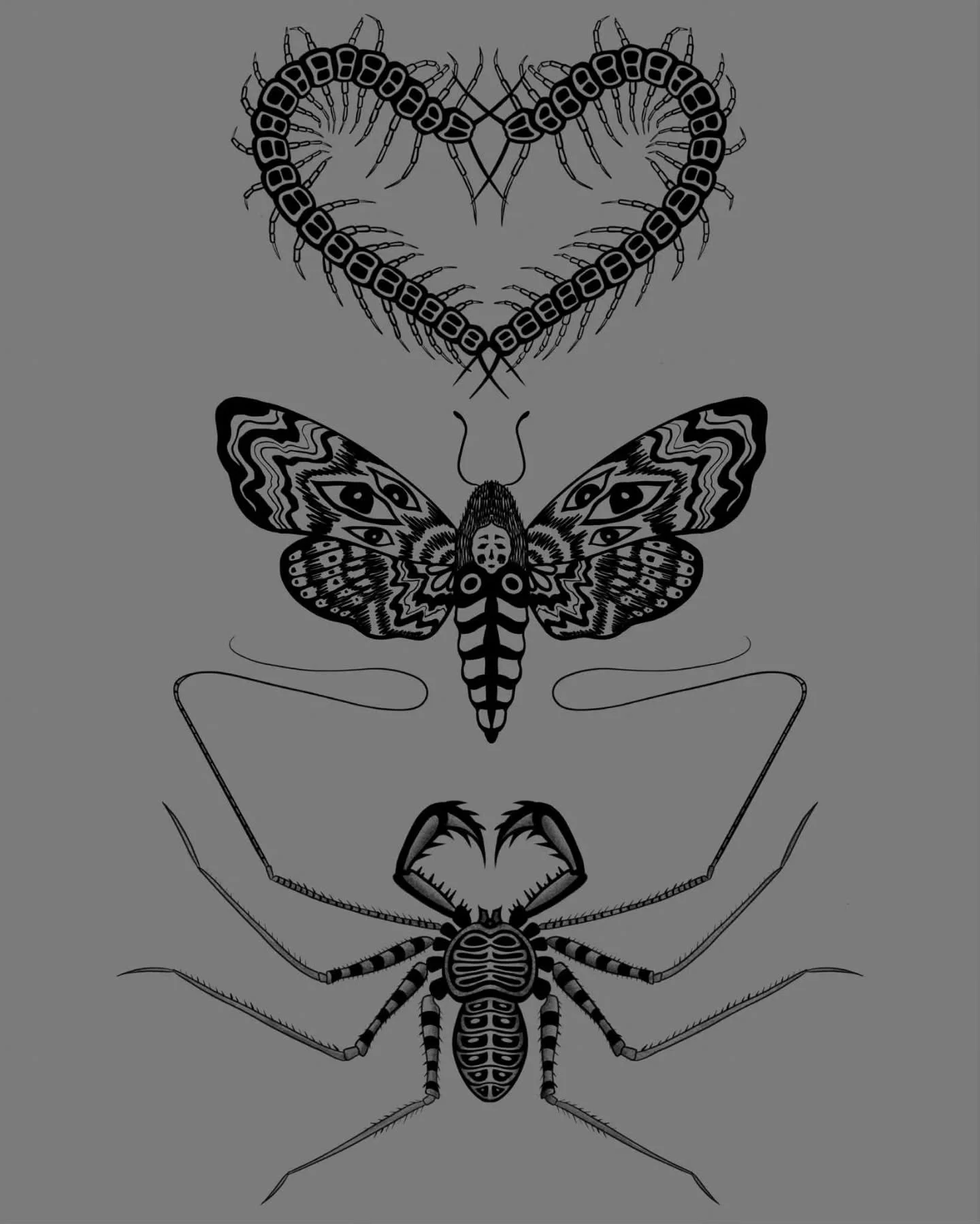 Excited to be part of @blackcat.tattoos flash day on Oct 31st! 🕷
These are my offerings.. some bugs of course.
They are discounted by $80-$100 on the 31st only (available after the 31st for full price) 
Prices are based on arm/leg placements at t