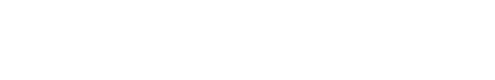flexjet.PNG