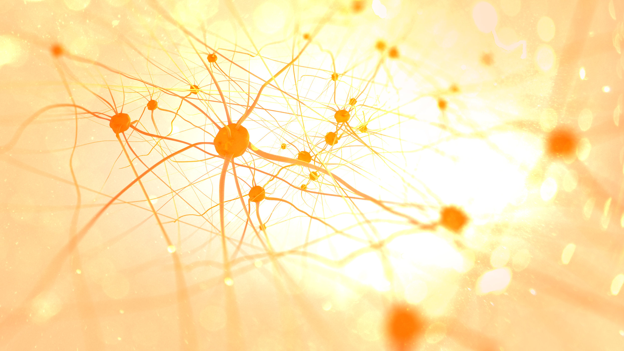Emotionen sind laut Forschungsergebnissen der Neurowissenschaft die alleinige Triebfeder, die das Hirn eine Erfahrung als wertvoll taxieren lässt. Wir unterstützen Sie dabei, Ihre Beziehungen zu Ihren Kunden und Mitarbeitern ein großes Stück wertvoller zu machen und mit Emotionen sowie der Kraft von Sound beim Menschen Resonanzen und innere, mentale Bilder zu erzeugen.