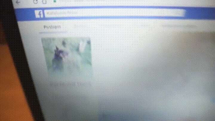 hKONDKp.gif